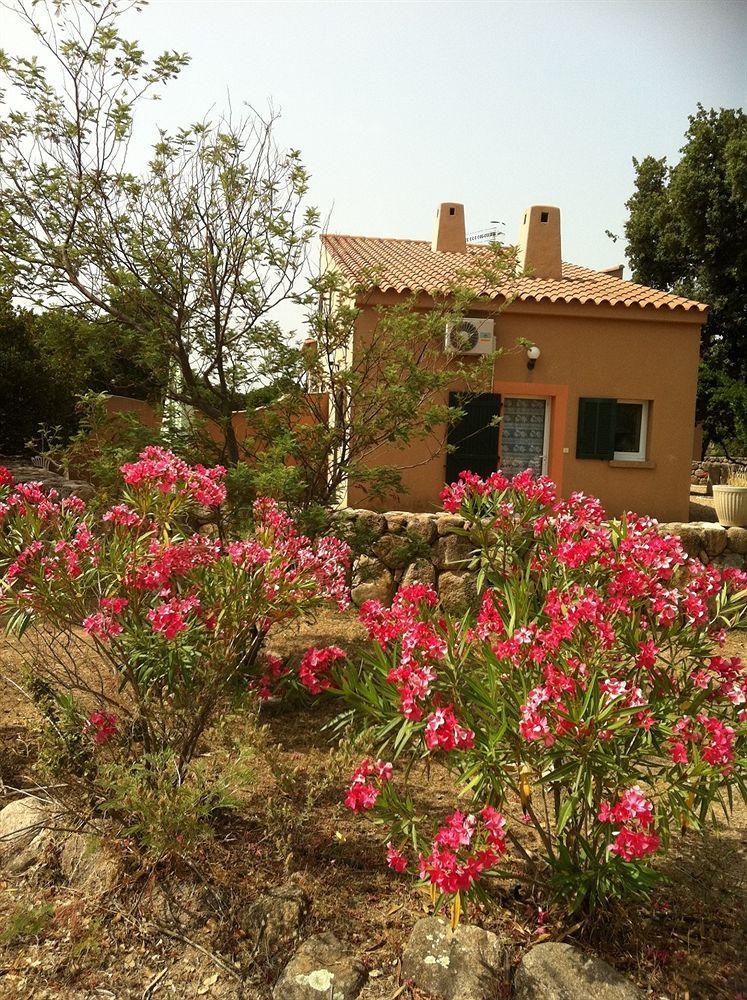 Riviera 2* Porto-Vecchio (Corsica)