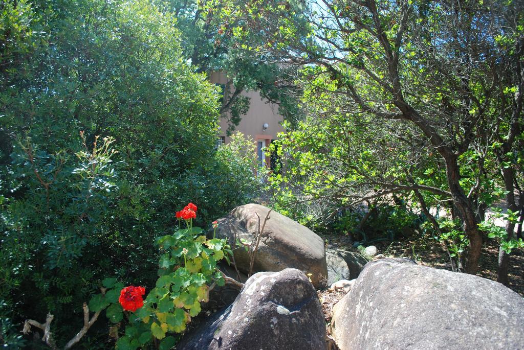 Aparthotel Riviera 2*