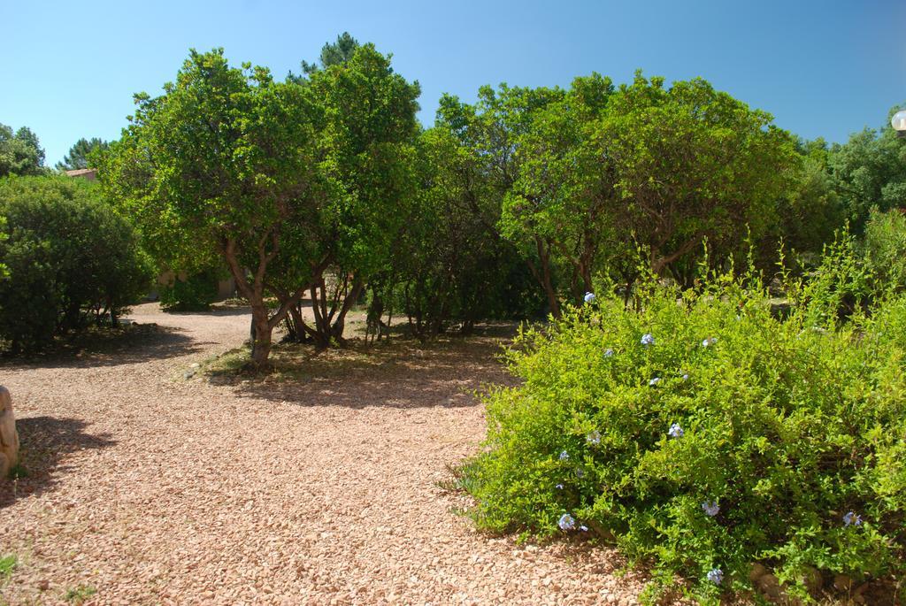 Riviera 2*