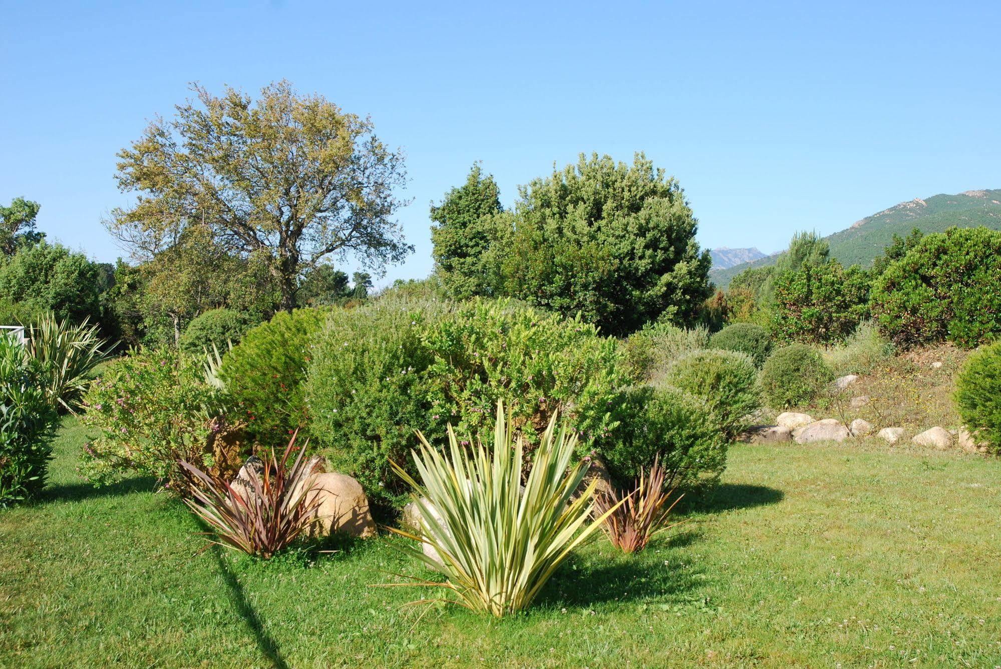 Riviera 2* Porto-Vecchio (Corsica)